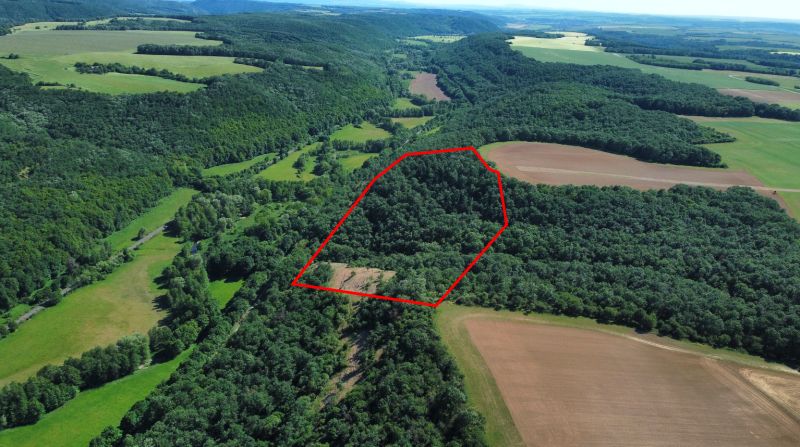In Domaníky, there are agricultural and forest lands with dense forests and small fields.