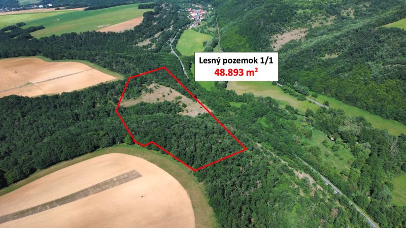 Aerial view of a forest plot in Domaníky with an area of 48,893 m².