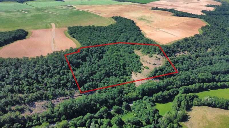 Aerial view of agricultural and forest lands around Domaníky.