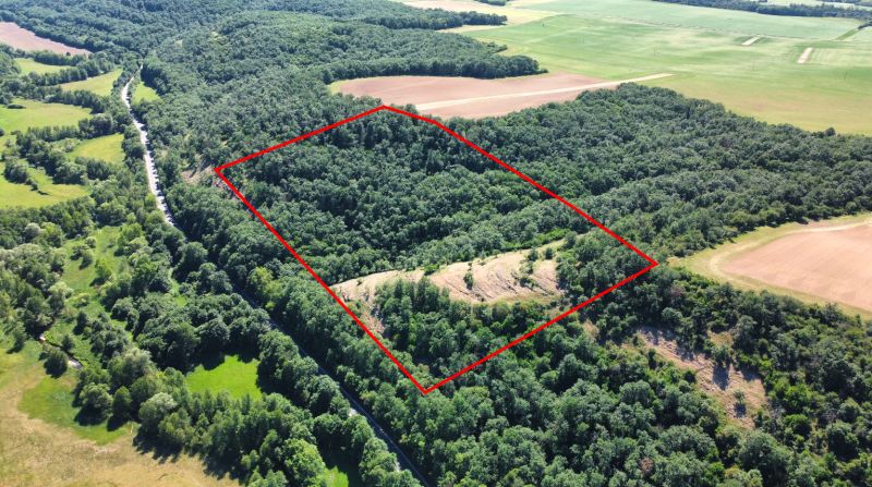 Aerial view of agricultural and forest lands in the village of Domaníky, surrounded by greenery.