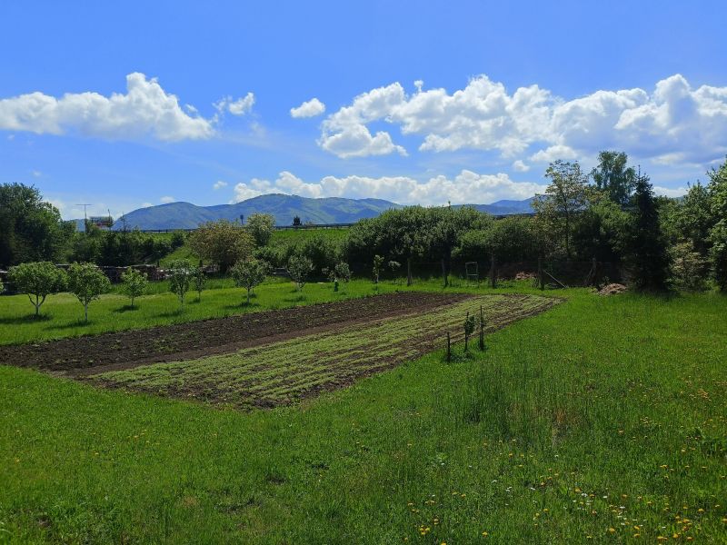 A plot suitable for living in the town of Turany, Hlboká cesta, with fruit trees and a garden.