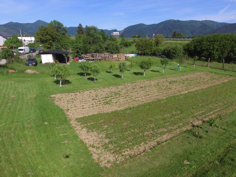 Plots - housing on Hlboká Street in Turany with fruit trees and a garden.