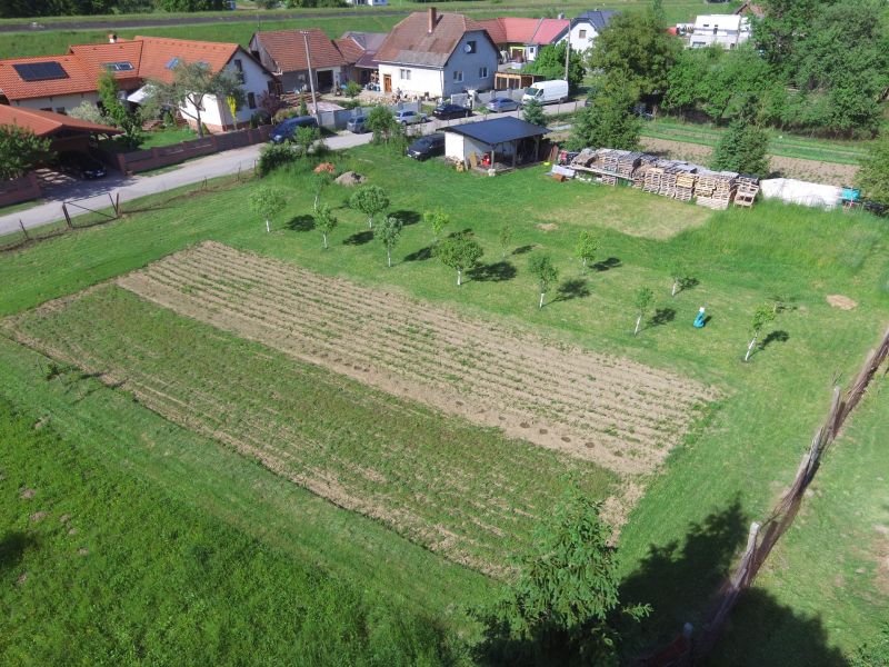 Plots - housing on Hlboká Street in Turany with fruit trees and a garden.