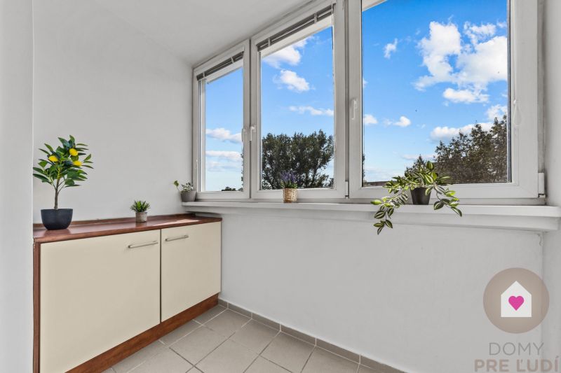 A bright room with greenery and windows in a 4-room apartment, view of the blue sky.