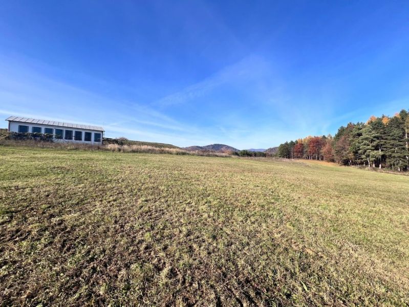 Open green land near Pršianska Road, Banská Bystrica District, Banská Bystrica Region, Slovakia.
