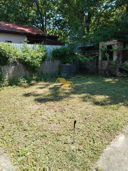 The garden at the cottage on the street in Nové Zámky with abundant greenery and a woodshed.