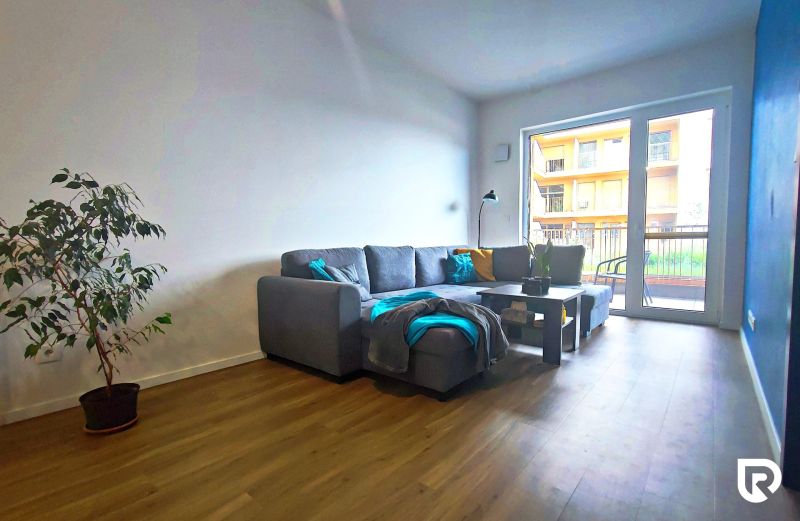 Living room in a two-room apartment with a sofa, a plant, and a wooden decor floor.