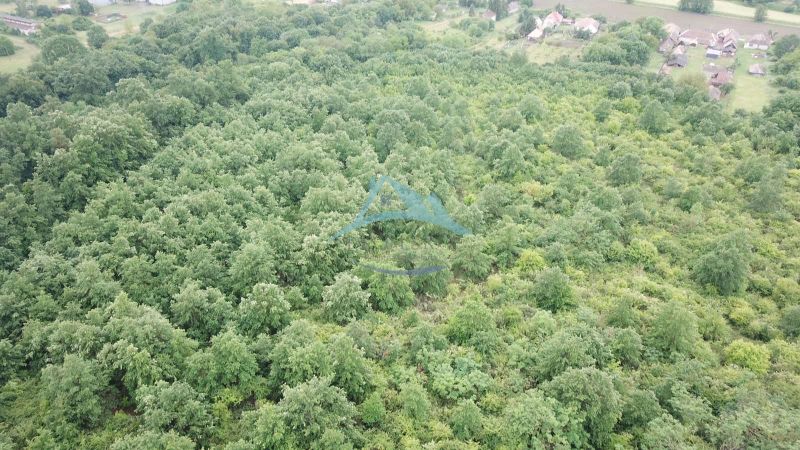 Aerial view of green forested lands around the village of Trebušovce.