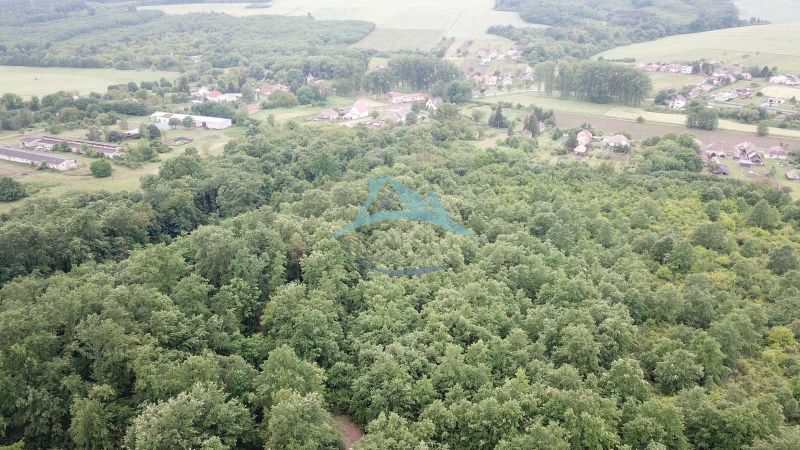Aerial view of agricultural and forest lands near Trebušovce surrounded by greenery and rural areas.
