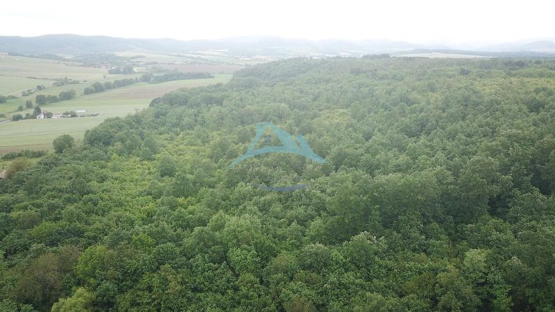Extensive forests and agricultural lands near Trebušovce spread across green valleys.