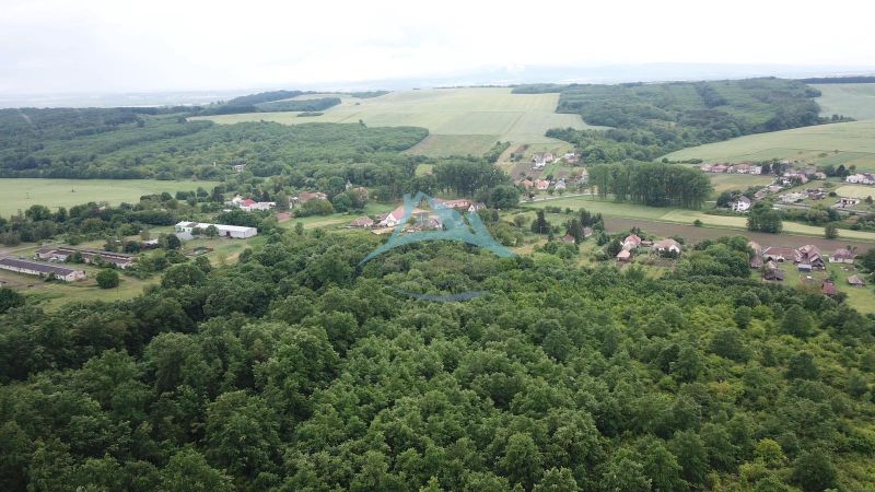 Aerial view of agricultural and forest lands around Trebušovce with village settlements.