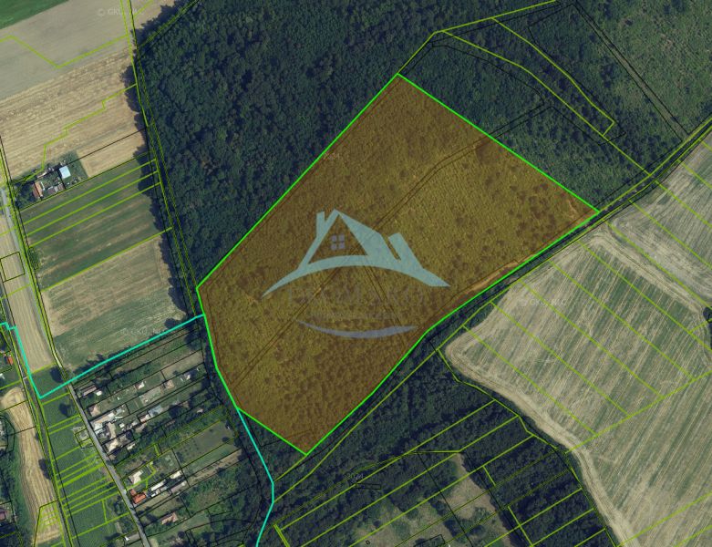 An aerial view of agricultural and forest lands around Trebušovce with parcel boundaries.
