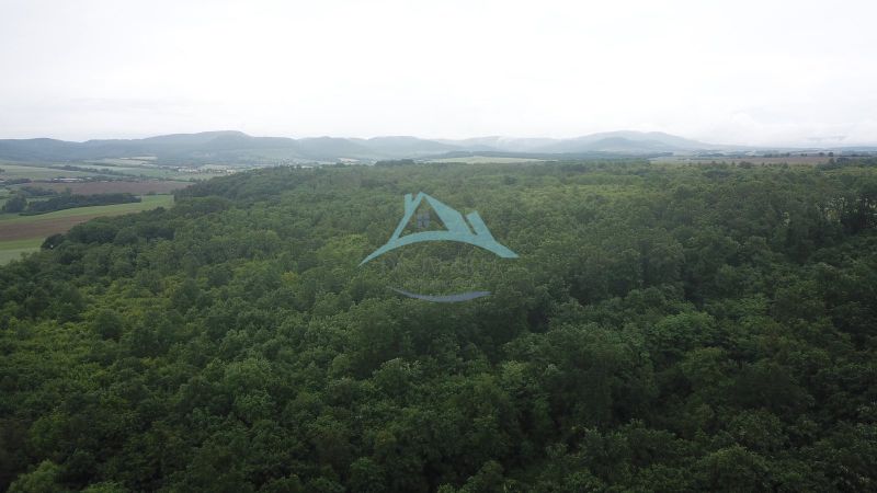 Forested agricultural and forest lands around Trebušovce, with a view of the hilly landscape.