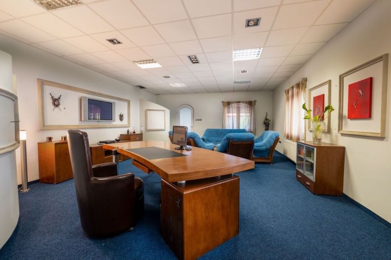 Office with a desk, blue carpet, leather chairs and sofas, walls with decorations.