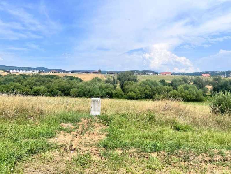 A landscape with a meadow on residential land in Krupina, Krupina District, Banská Bystrica Region.