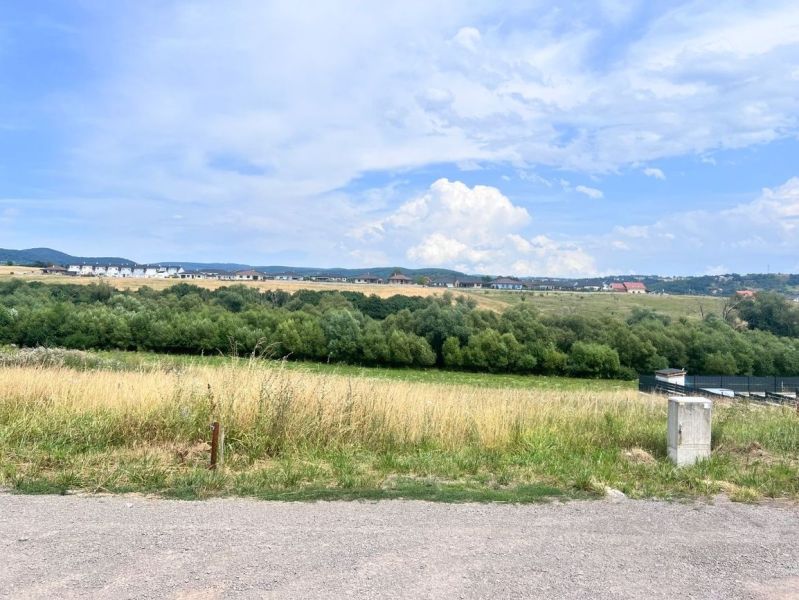A landscape with a meadow and trees, a view from a residential building in Krupina.