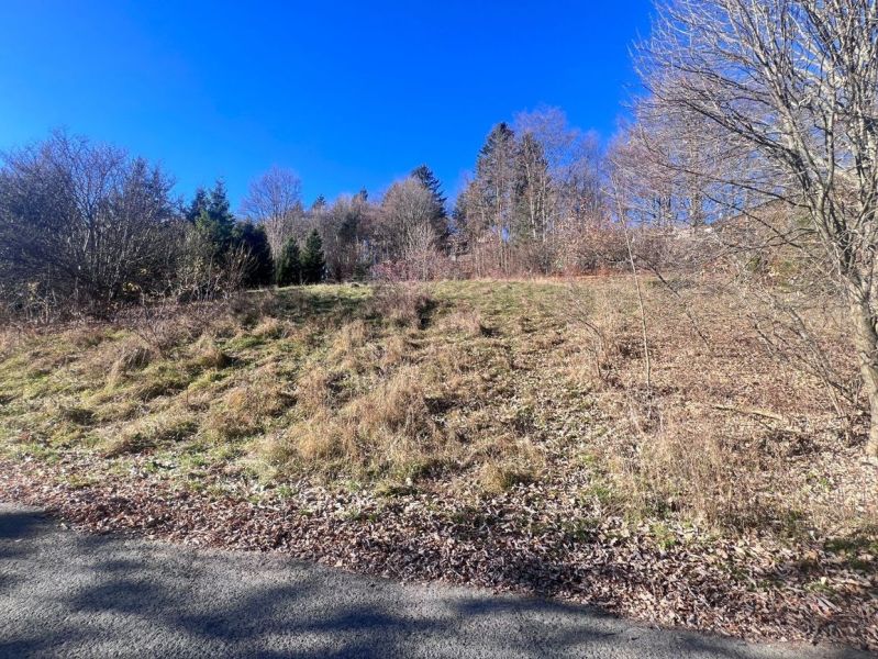 A grassy plot on the outskirts of Donovaly, Banská Bystrica District, Banská Bystrica Region, Slovakia.