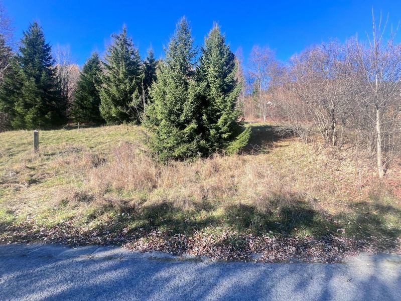 Forested lands in Donovaly, Banská Bystrica District, Banská Bystrica Region, Slovakia.