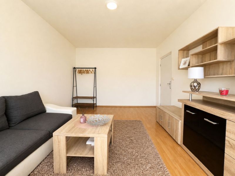 Living room in a studio apartment with a sofa and wooden decor furniture.
