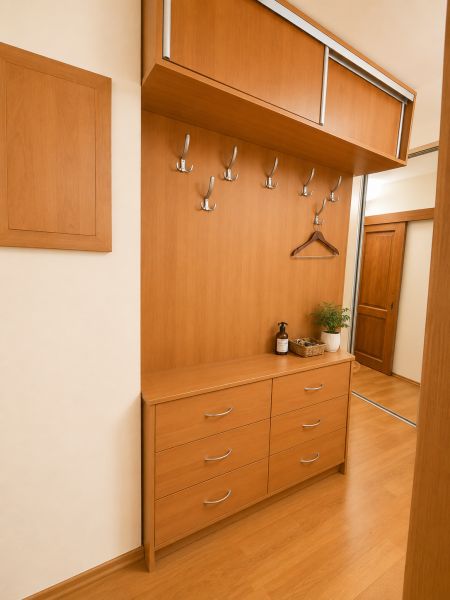 Entrance hallway with a wooden wardrobe wall, drawer chest, and flooring with a wooden decor.