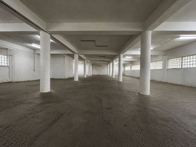Spacious interior with concrete floor and white columns in warehouses and halls.