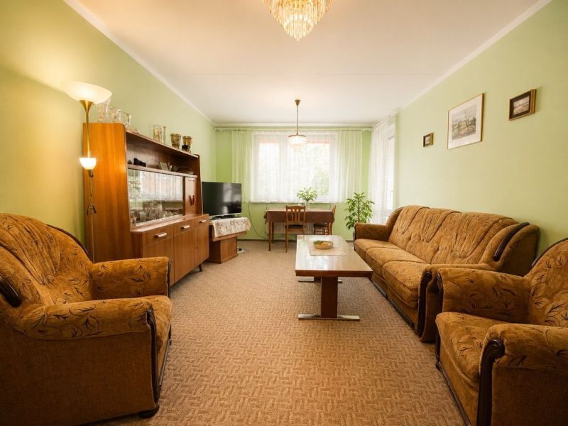 Living room in a 2-room apartment with retro furniture, green walls, armchairs, sofa.