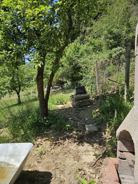 The greenery around the cottage in Budatín, natural environment, trees and stone.