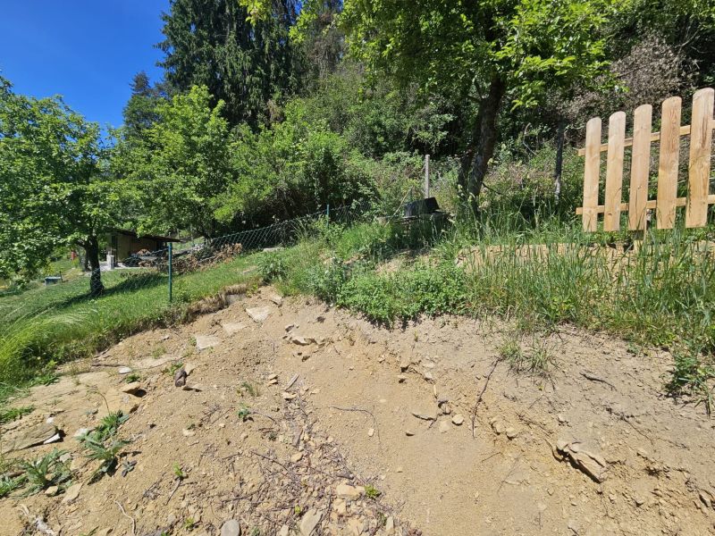 A steep slope with a hill in Budatín near the cottage, surrounded by greenery and trees.