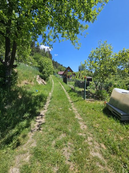 A path surrounded by greenery leads to a cottage in Budatín.