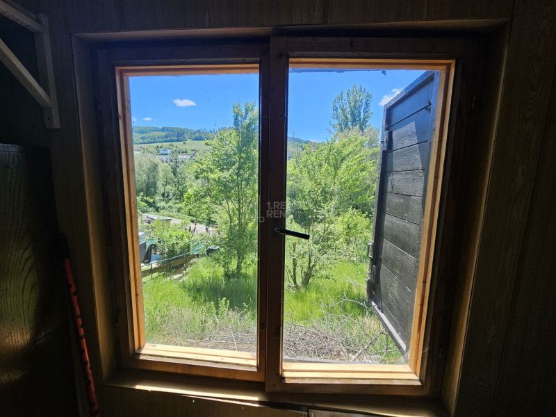 The view from the cabin window of the green landscape and trees.