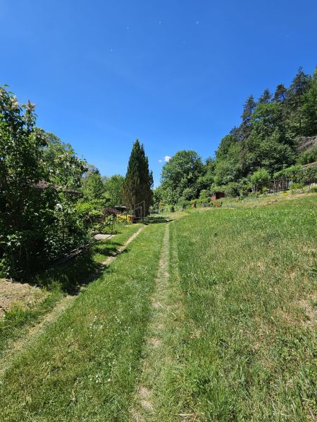 A grassy path in Budatín, surrounded by trees, with a view of greenery near the cottage.