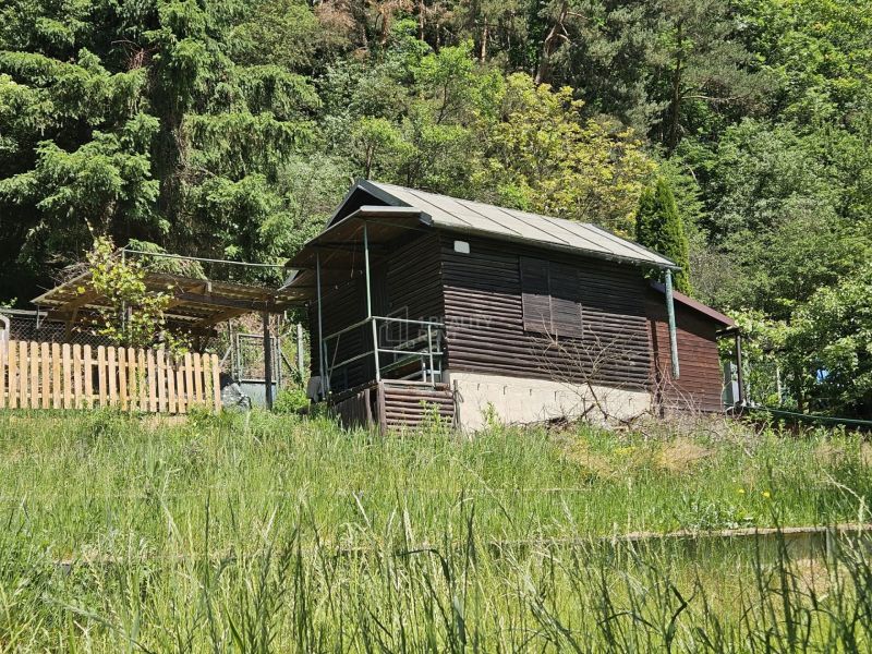 A cottage in Budatín on the edge of the forest, surrounded by greenery and a wooden fence.