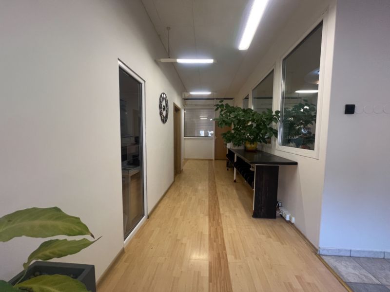 A corridor with a wooden decor floor, plants, and decorative elements in the production areas.