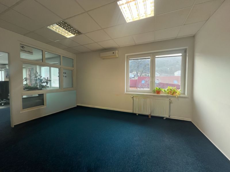 Office with a blue carpet and a window, manufacturing facilities.
