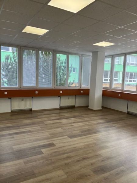 Offices with wood-patterned flooring and large windows.