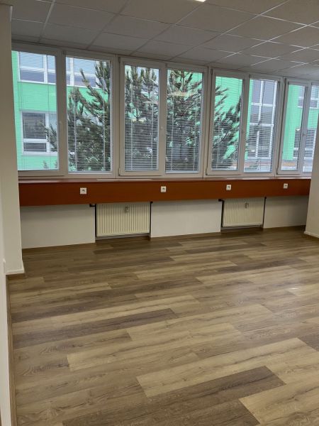 Offices with large windows, wood-patterned flooring, light walls, and a suspended ceiling.
