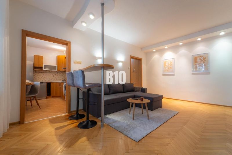 Living room in a 2-room apartment with a bar, wooden decor flooring, and kitchen.