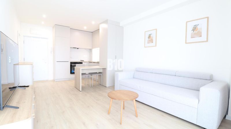 Living room in a two-room apartment with a wooden decor floor, kitchen unit, and sofa.