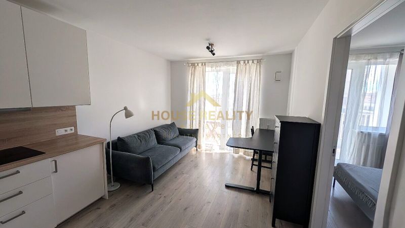 Living room with a sofa, kitchenette, and dining table, floor with wooden decor.