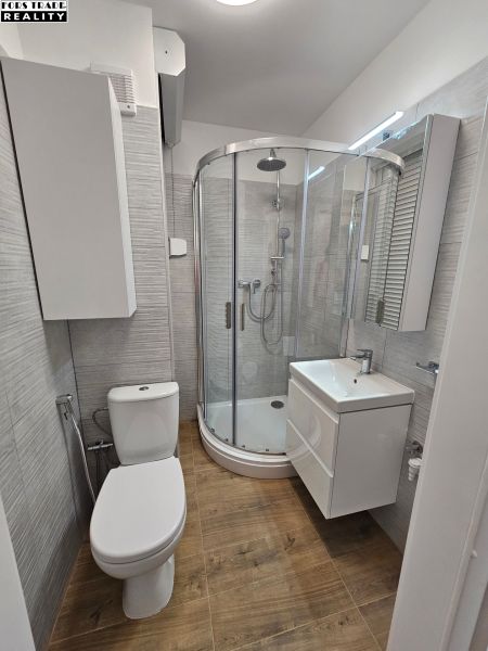 A bathroom in a studio apartment with a modern shower, sink, toilet, and a wooden decor floor.