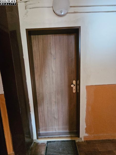 Entrance door with wood decor and black doormat, Studio apartment.