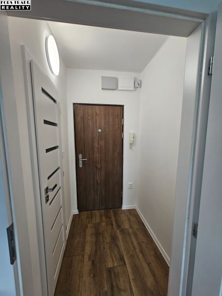 Entrance hallway in a studio apartment with a wood-patterned floor and white walls.