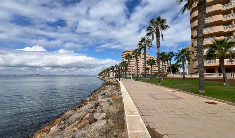 Seaside promenade with palm trees at the Holiday Apartment in La Manga del Mar Menor, Spain.