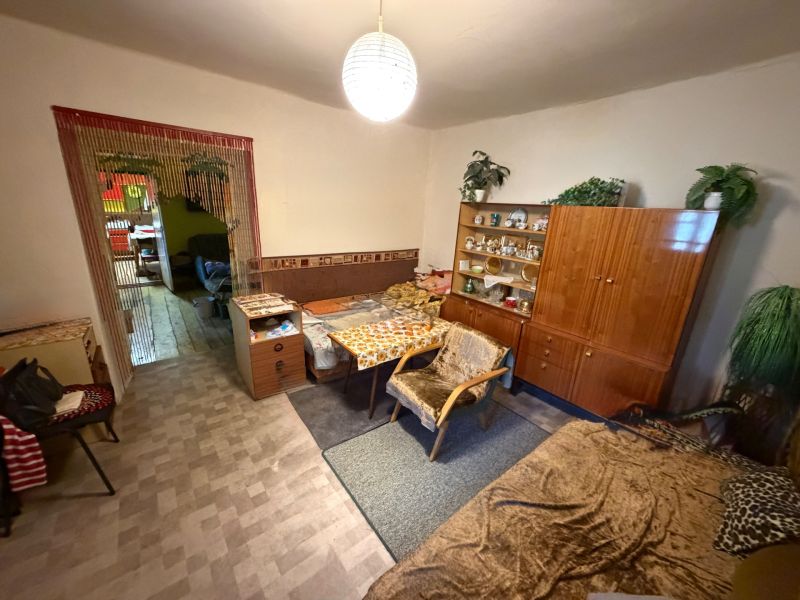 A room in a family house with furniture, chandeliers, and plants feels cozy.