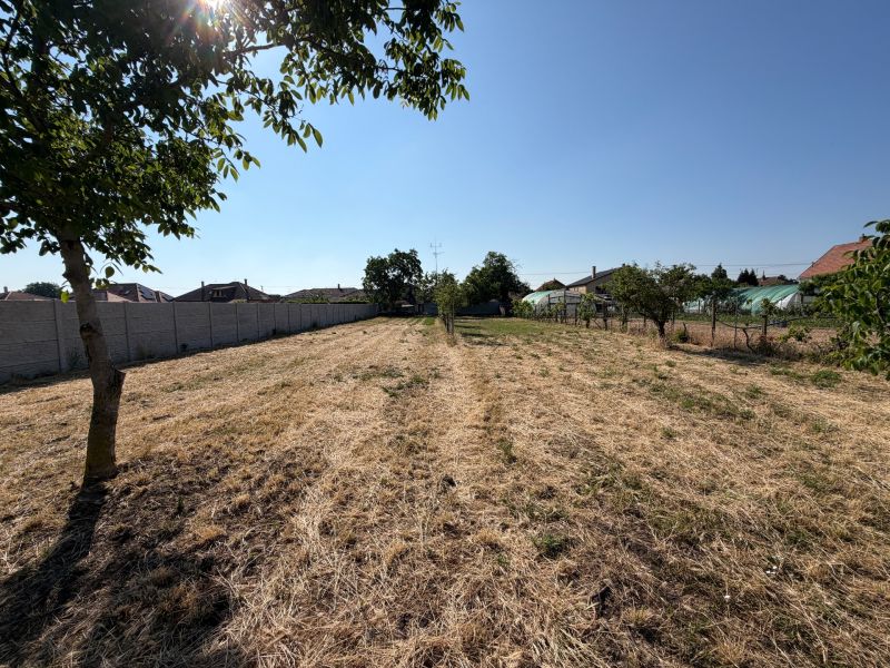 A plot of land with fruit trees and grass in the town of Nesvady near family houses.