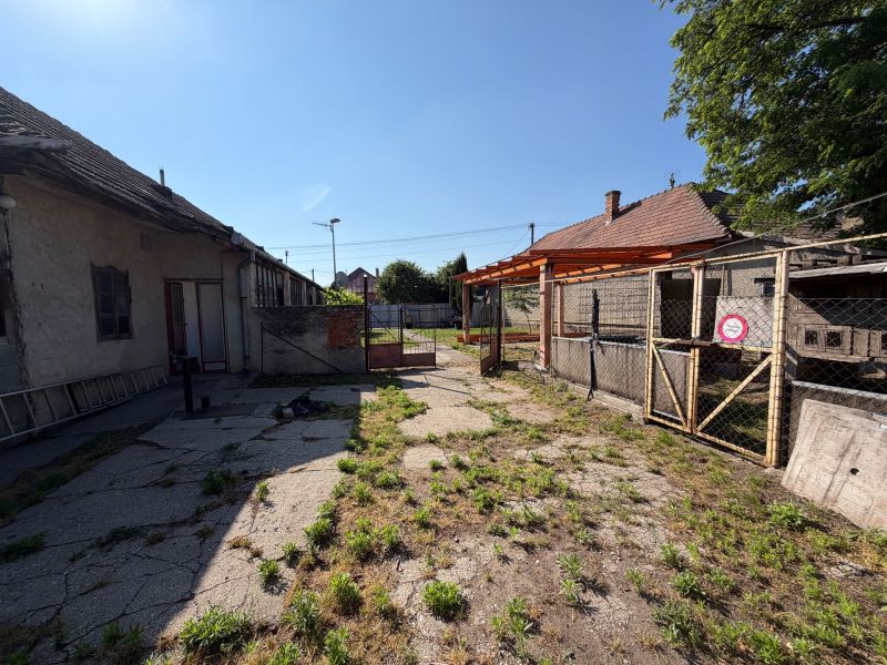 The courtyard of a family house in Nesvady with fenced areas and a concrete surface.