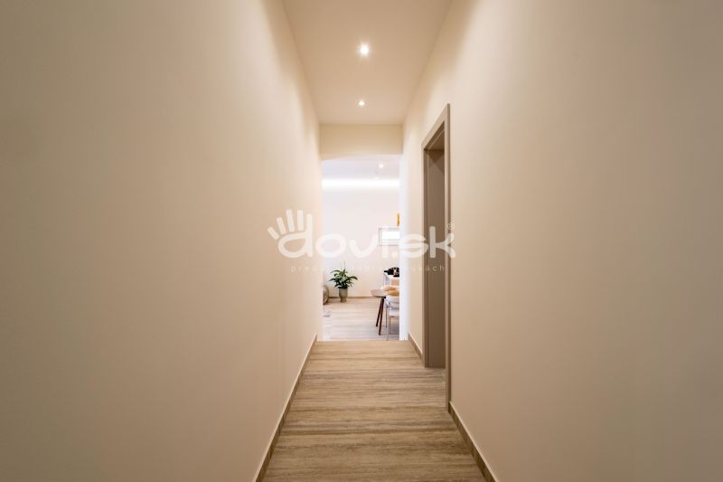 A hallway in a family house with a wooden decor floor and a plant at the end.