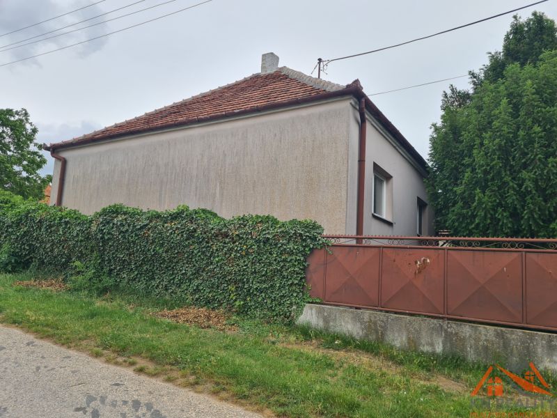 A family house in Dulovce with a fence overgrown with greenery, situated by the road.