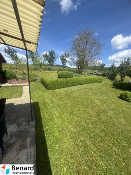 The garden of a family house in Orlov with a lawn and shrubs, the sky is clear.