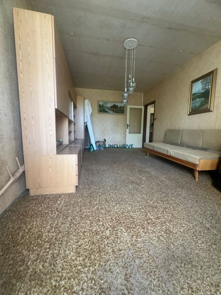 Living room in a 2-room apartment with a carpet and wooden furniture.